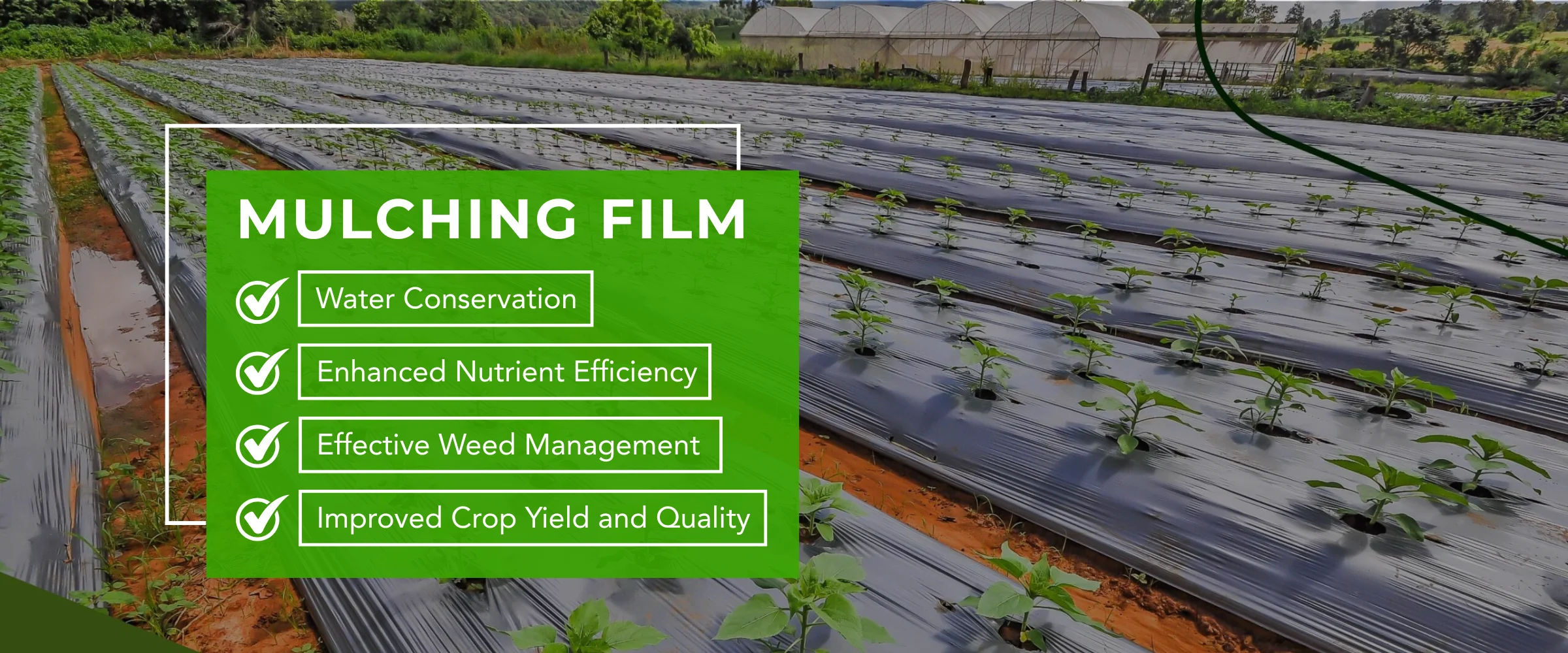 Mulching Film Banner